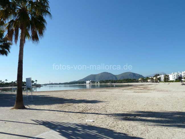 Alcudia Strand