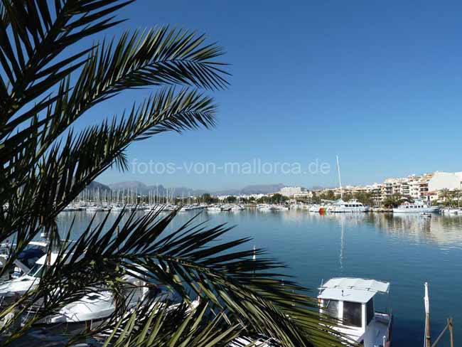 Hafen Alcudia, Mallorca