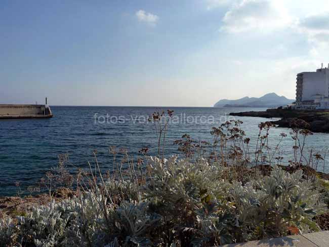 Cala Ratjada Mallorca