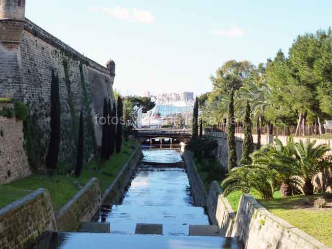 Palma de Mallorca Garten