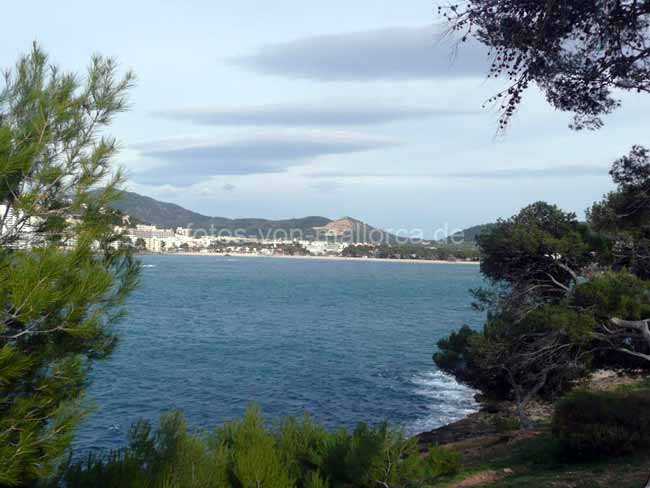 Blick auf Santa Ponsa